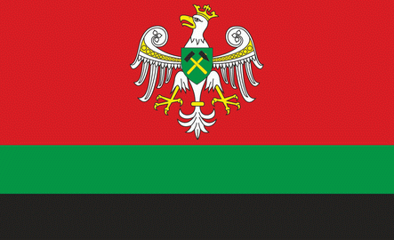 flaga Zagłębia Dąbrowskiego